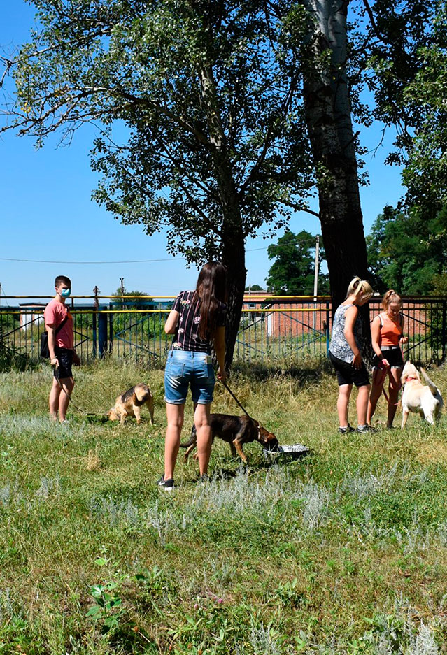 Міський центр утримання тварин
